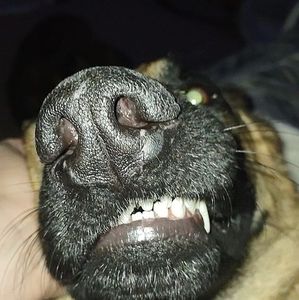 Meet your Posher, Ainsley